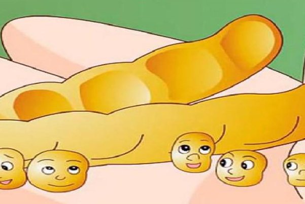 读完一个豆荚里的五粒豆提出的问题