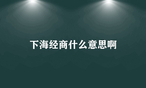 下海经商什么意思啊