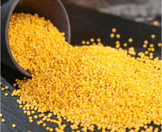 黄米是什么米？