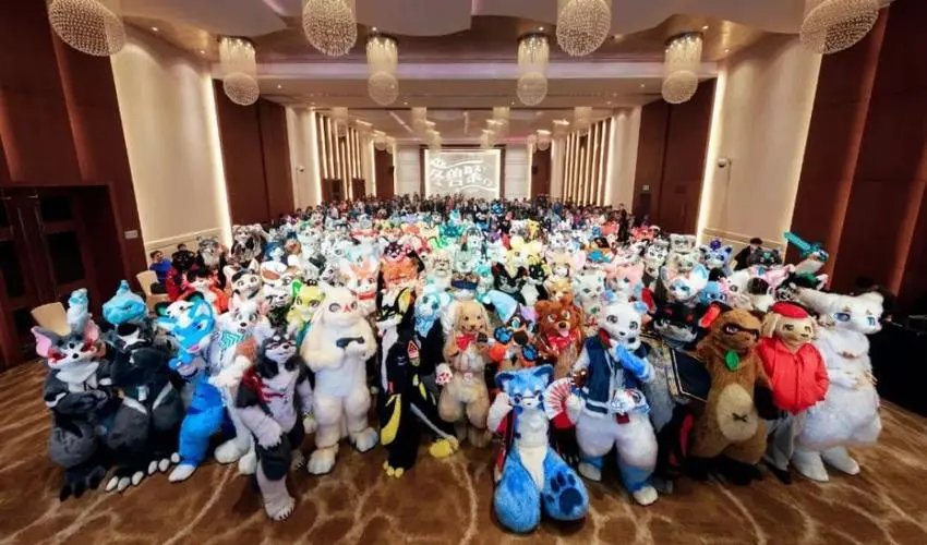 福瑞控是什么意思