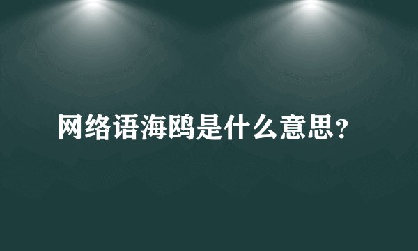 网络语海鸥是什么意思？