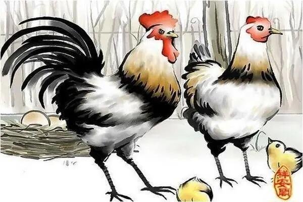 月光溢洒打一动物生肖