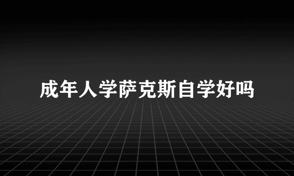 成年人学萨克斯自学好吗