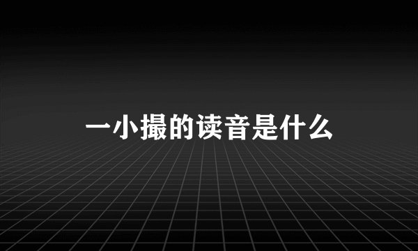 一小撮的读音是什么