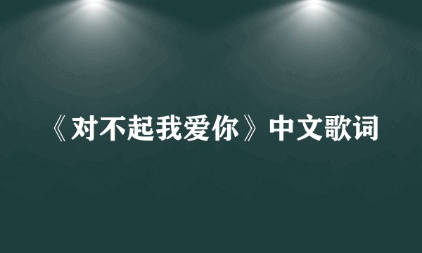 《对不起我爱你》中文歌词