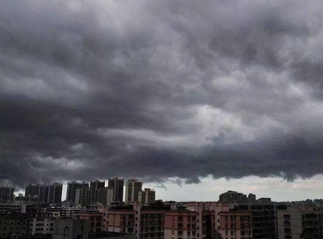 海南突发雷雨，三十多头牛被雷电击中瞬间毙命，给农户造成了多大的损失？