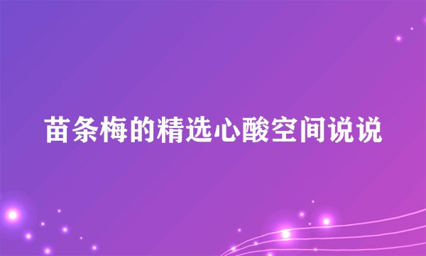 苗条梅的精选心酸空间说说