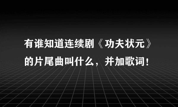 有谁知道连续剧《功夫状元》的片尾曲叫什么，并加歌词！
