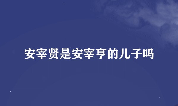 安宰贤是安宰亨的儿子吗