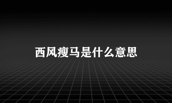 西风瘦马是什么意思