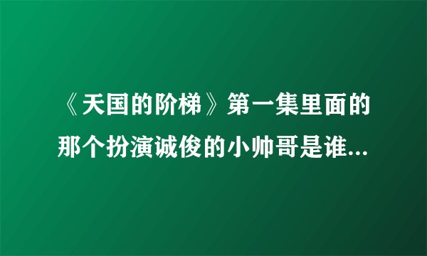 《天国的阶梯》第一集里面的那个扮演诚俊的小帅哥是谁？叫啥名字啊？