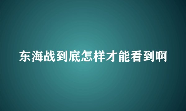 东海战到底怎样才能看到啊