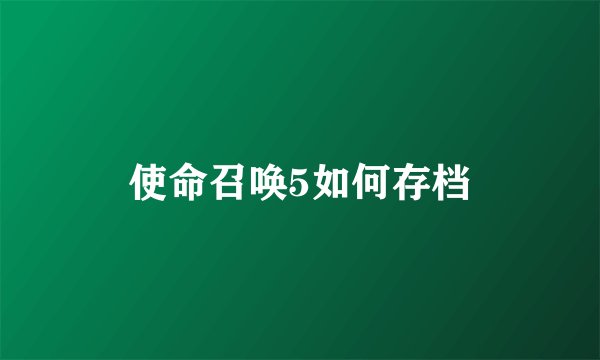 使命召唤5如何存档