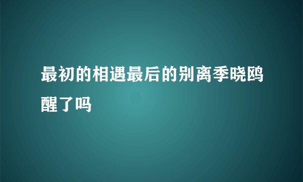 最初的相遇最后的别离季晓鸥醒了吗