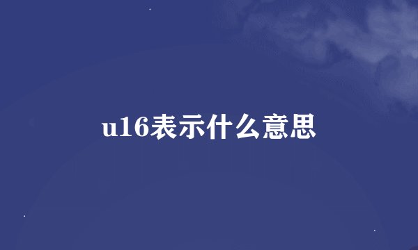 u16表示什么意思