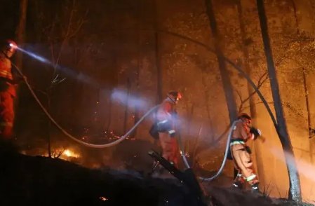 涪陵山火仍在扑救中，山火是如何引发的？为何扑救这么难呢？