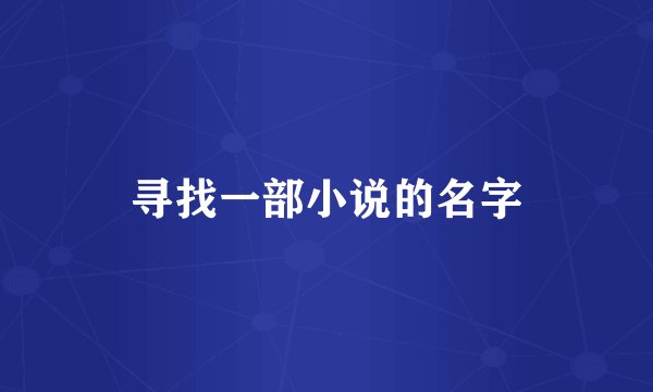 寻找一部小说的名字