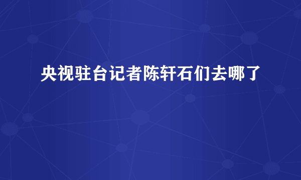央视驻台记者陈轩石们去哪了