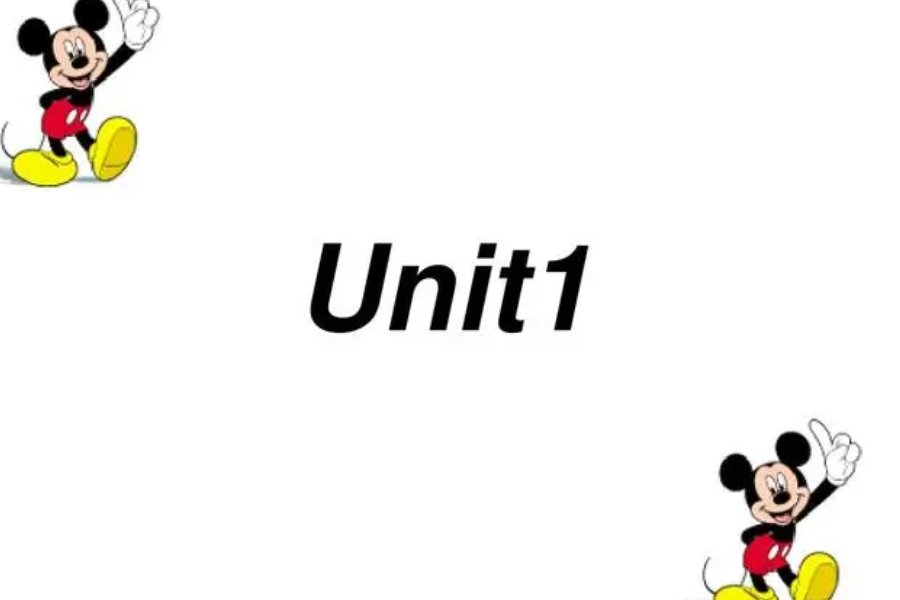 units的中文翻译