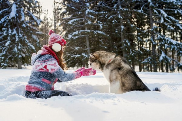 ebony英文名意思