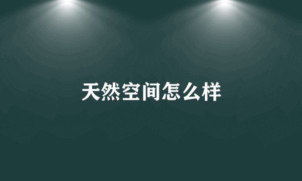 天然空间怎么样