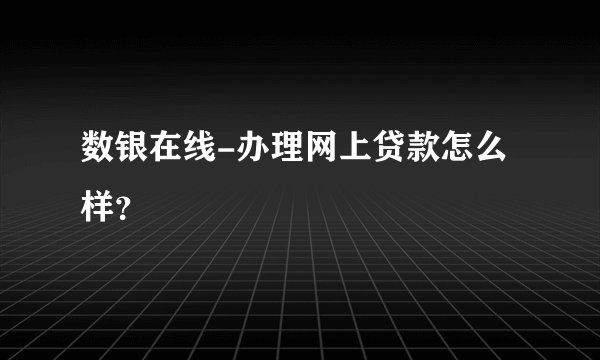 数银在线-办理网上贷款怎么样?