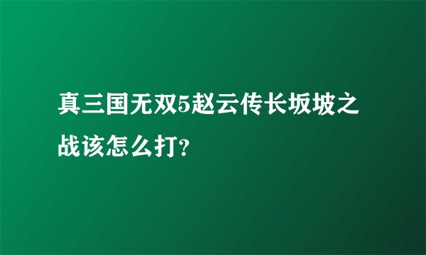 真三国无双5赵云传长坂坡之战该怎么打？