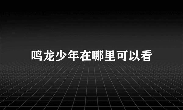 鸣龙少年在哪里可以看
