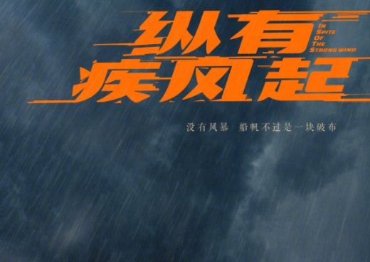 《纵有疾风起》在哪个台播出？