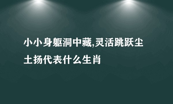 小小身躯洞中藏,灵活跳跃尘土扬代表什么生肖