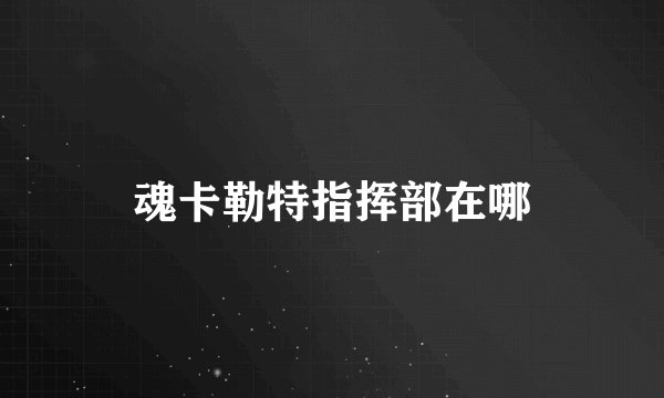 魂卡勒特指挥部在哪