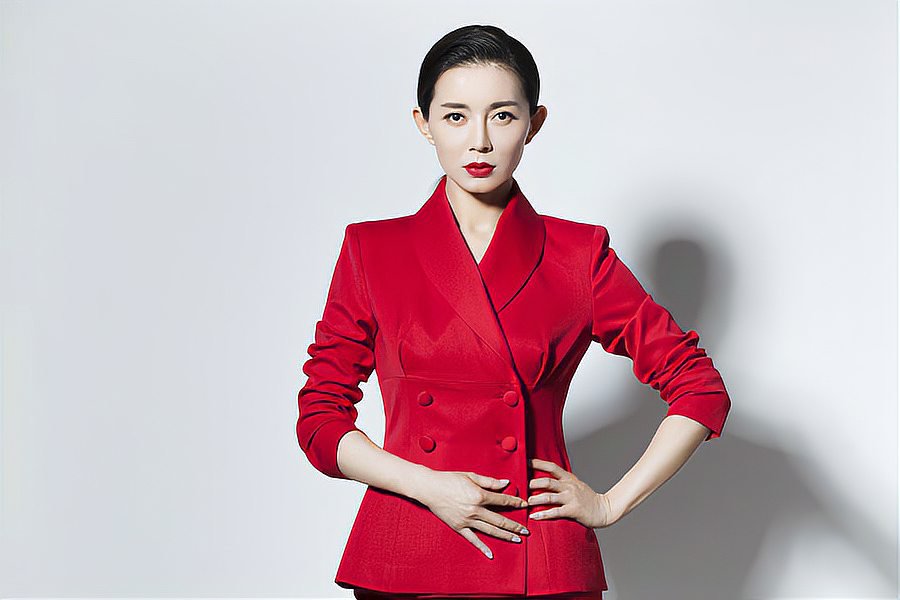 丈母娘来了电视剧演员表