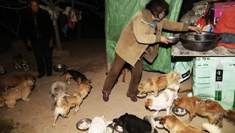 老人执念救狗20年，欠债60万卖房后住亲戚家！你觉得老人这么做值吗？