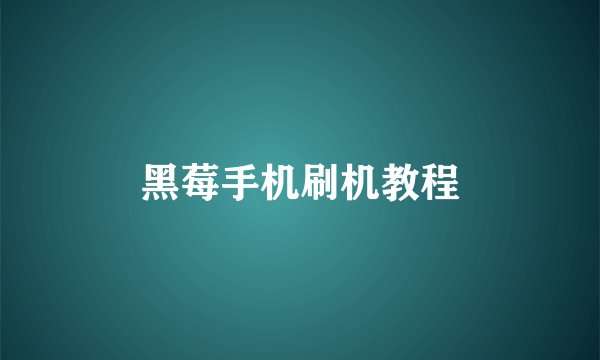 黑莓手机刷机教程