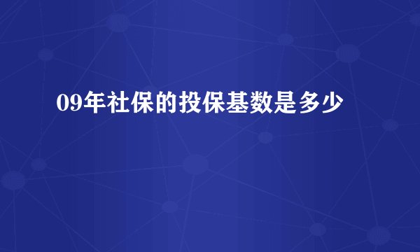 09年社保的投保基数是多少