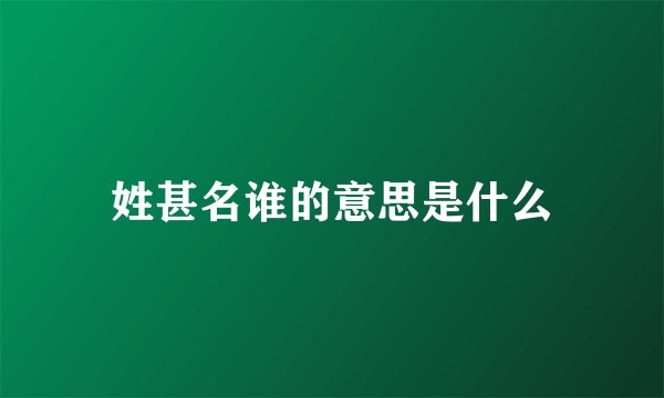 姓甚名谁的意思是什么