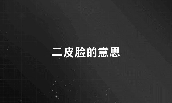 二皮脸的意思