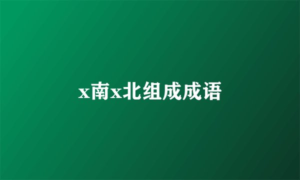 x南x北组成成语