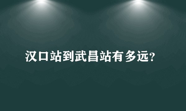 汉口站到武昌站有多远？