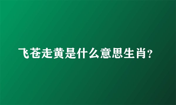 飞苍走黄是什么意思生肖？