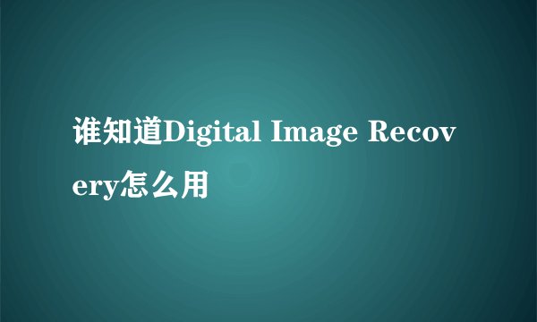 谁知道Digital Image Recovery怎么用