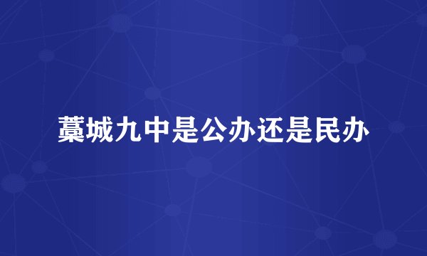 藁城九中是公办还是民办