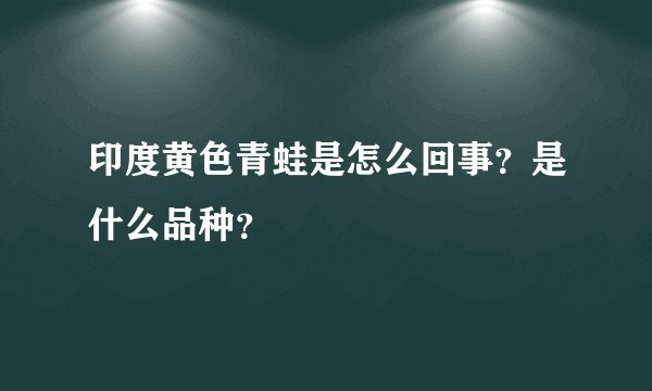 印度黄色青蛙是怎么回事？是什么品种？