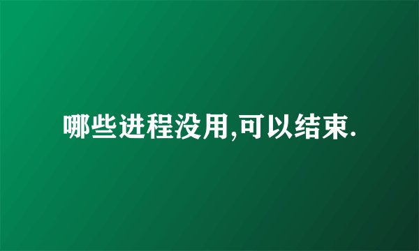 哪些进程没用,可以结束.