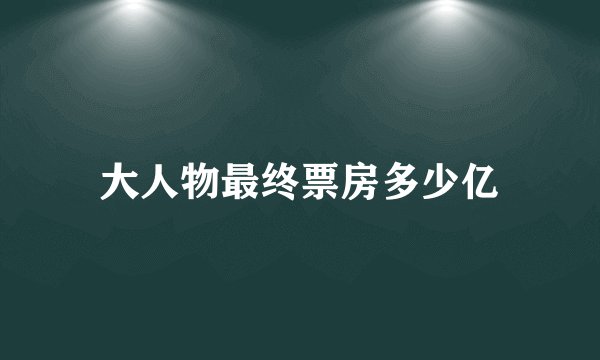 大人物最终票房多少亿