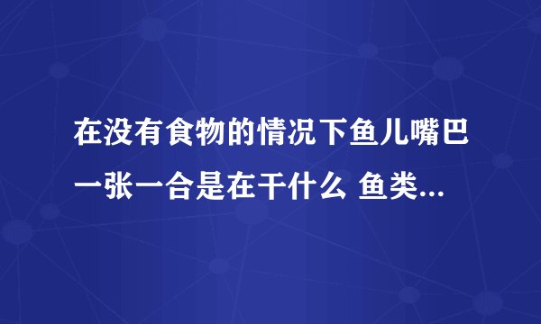 在没有食物的情况下鱼儿嘴巴一张一合是在干什么 鱼类是以什么呼吸