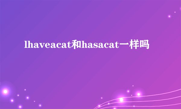 lhaveacat和hasacat一样吗