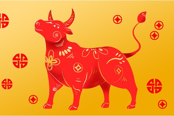 劈天盖地打一个动物