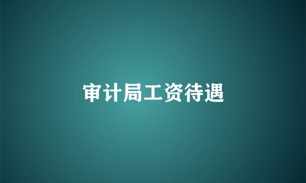 审计局工资待遇