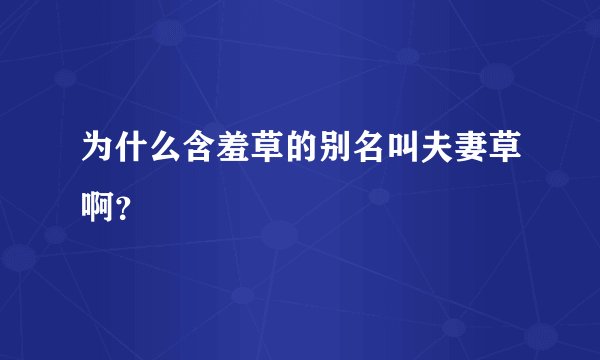 为什么含羞草的别名叫夫妻草啊？